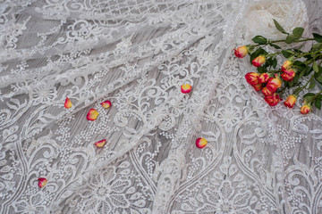 White wooden background with white spring flowers roses and lace ribbon. Happy womans day. The...
