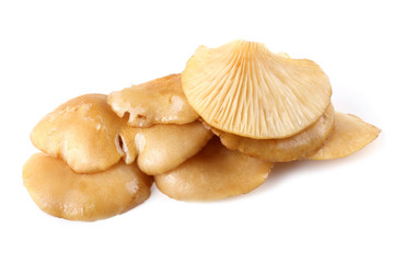 Yellow oyster mushrooms.