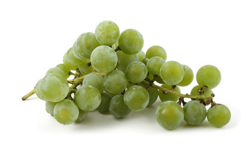 White wine grape