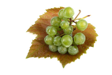 White wine grape on autumn leaf