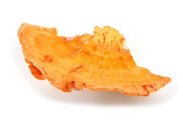 Chicken mushroom