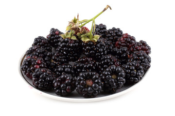 Blackberries on dish