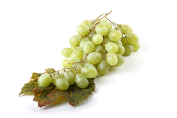 Grape on autumn leaf
