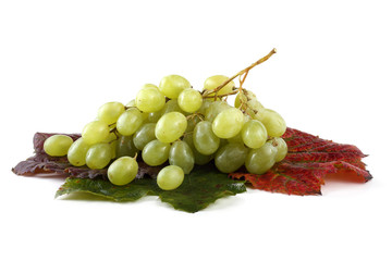 Grape on autumn leaves