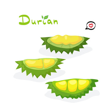 Durian fruit stock vector illustration in cartoon style with hand drawn lettering. King of fruits on white background. Colorful golden & green slices of popular South East Asian fruit with sweet taste