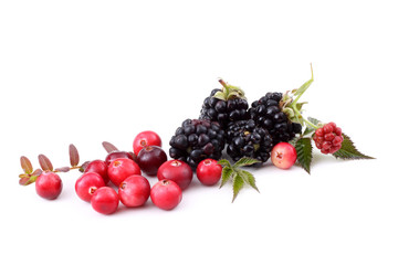 Blackberries and cranberries
