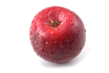 Red little apple