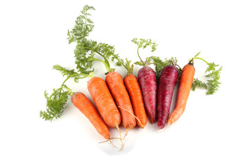 Red and orange carrots