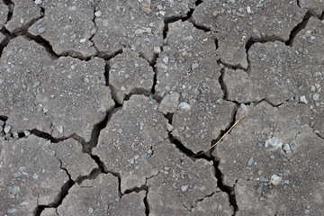 dry land without water for along time and land become cracked.