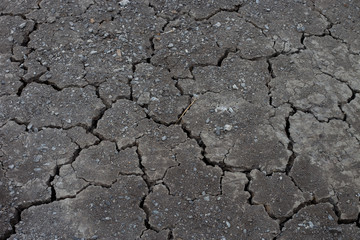cracked earth texture, dry land no water