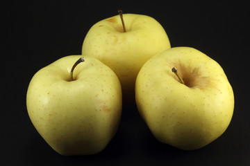 Three yellow apples on black background