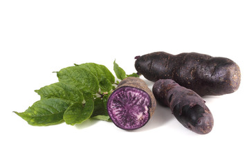 Original French violet potato 