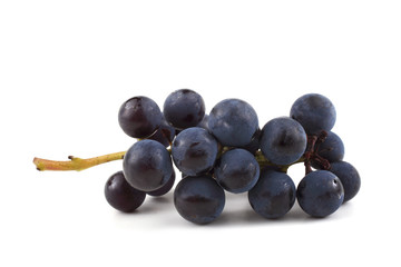 Black wine grape