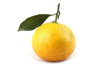 Mandarin orange and leaves