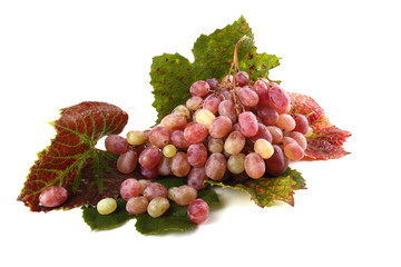 Grape on autumn leaves