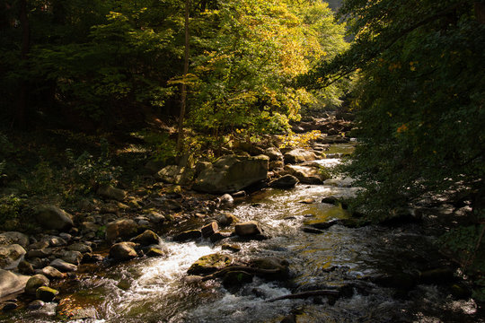 Fluss im Harz