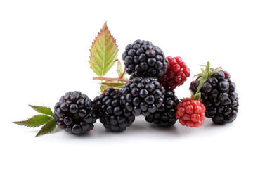 Cluster of blackberries