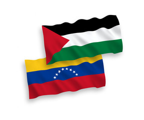 Flags of Venezuela and Palestine on a white background