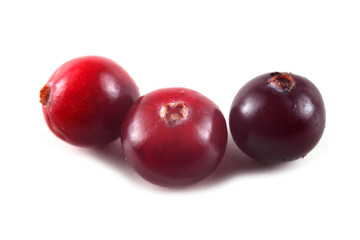 Cranberries