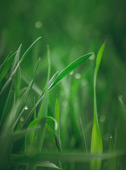 Nature beauty