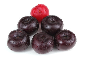 Violet and red plums