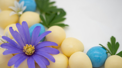 Blue and white flowers green leaves and candy Easter eggs on a scrunched plain white paper background with copy space