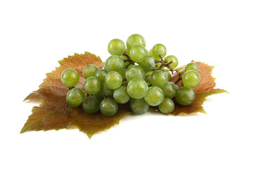 White wine grape on autumn leaves