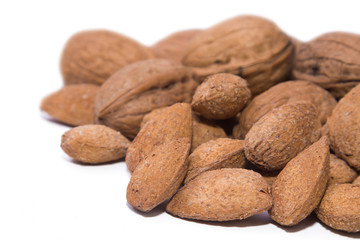 walnuts and hazelnuts isolated on white