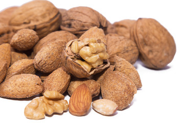 walnuts and hazelnuts isolated on white
