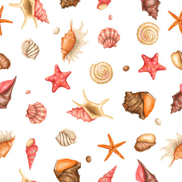 Seamless pattern with seashells. Tropical underwater mollusk shells.