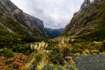 landscape in the new zealand mountains