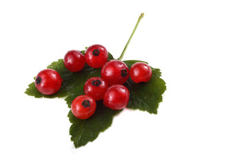 Red currant on leaf