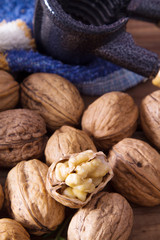 group of nuts or dried fruits on wood