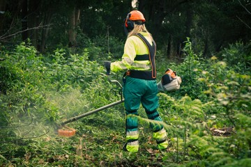 Forestry worker © tetxu