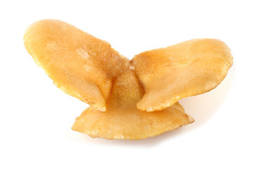 Yellow oyster mushrooms.