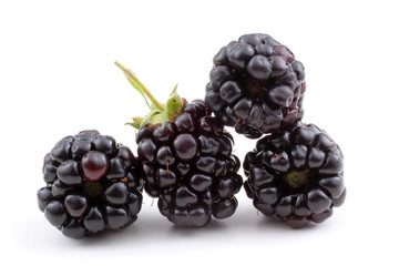Blackberries