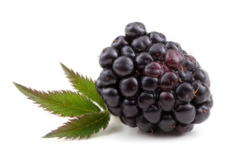 Blackberry and leaf