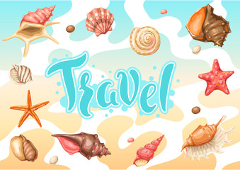 Background with seashells. Tropical underwater mollusk shells.