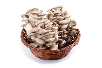 Oyster mushrooms on wicker plate