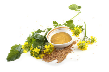 Mustard