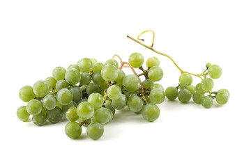 Wine grape