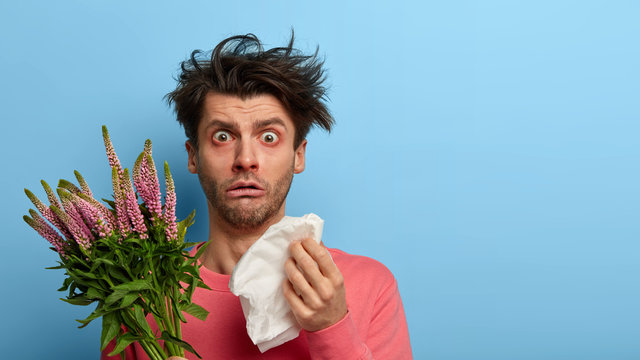 Indoor shot of puzzled man holds handkerhchief, has runny nose and other symptoms of allergy, allergic reaction on plant, has unbelievable gaze at camea, cannot stop sneezing, isolated on blue wall