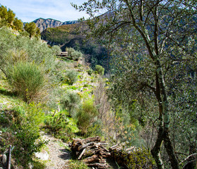 Fototapeta premium Breil sur Roya-Mercantour-Haut sentier de la Carleva