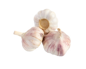  Garlic isolated on white.