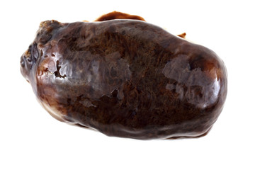 Obraz premium Sea cucumber (cucumaria)