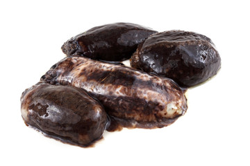 Sea cucumbers (cucumaria)
