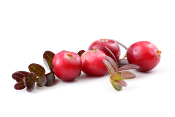 Cranberries and leaves
