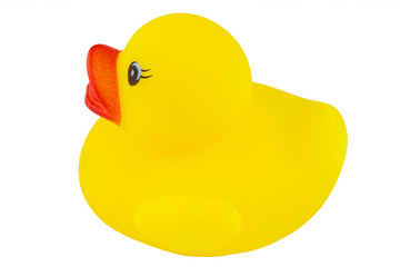 Yellow rubber duck isolated on white background.
