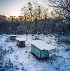 Winter sunrise on river