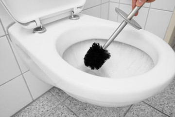 clean the toilet with a toilet brush while flush